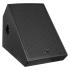 Wharfedale Pro DELTA X15M